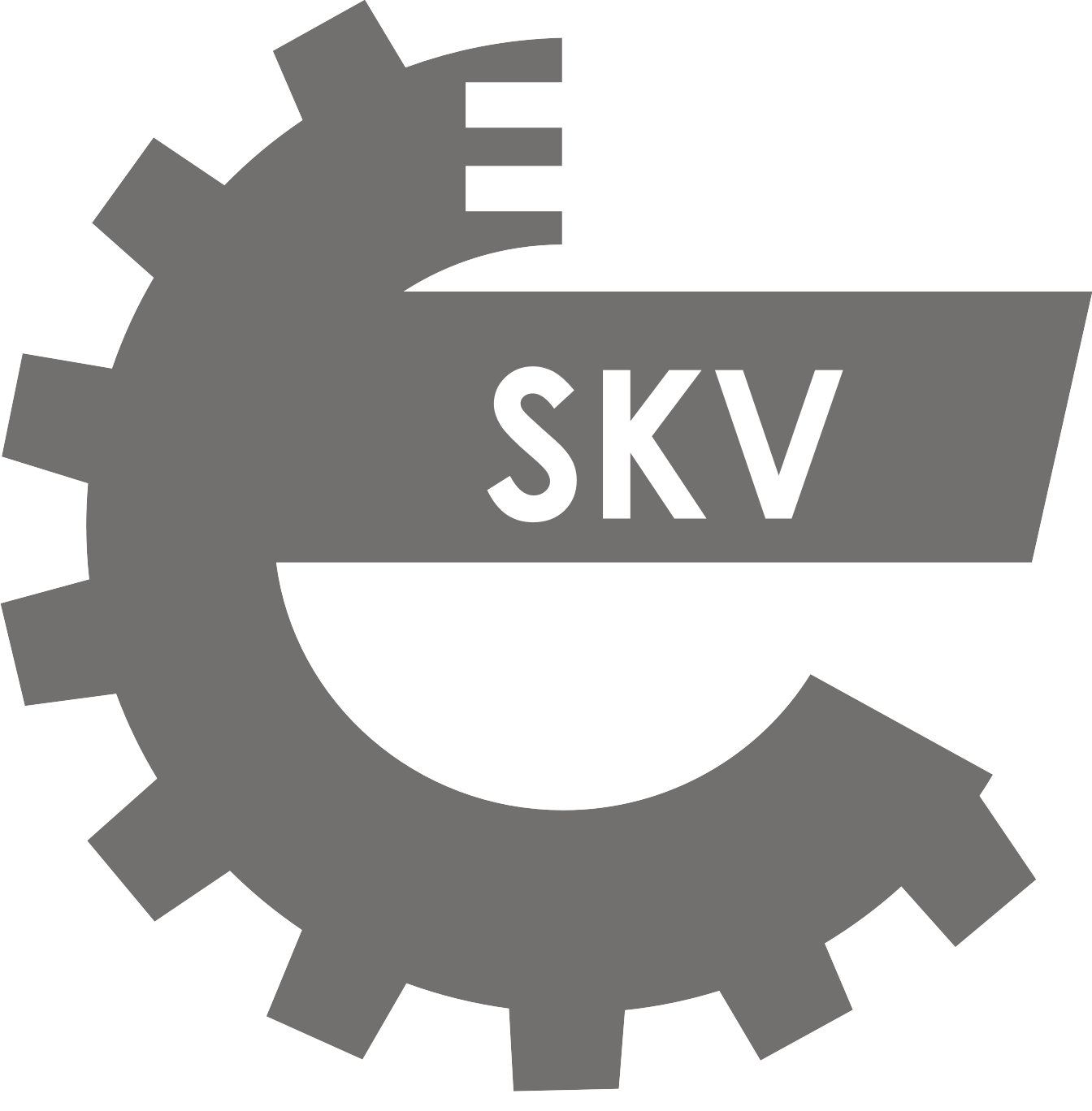 logo SKV
